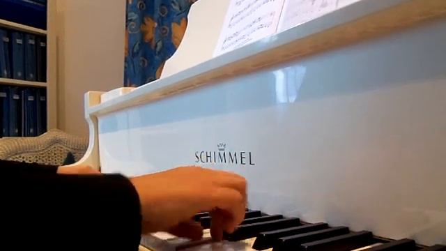 Le piano fait son cirque / Musique de Chantal MULLER-STORM et JC Soldano смотреть онлайн