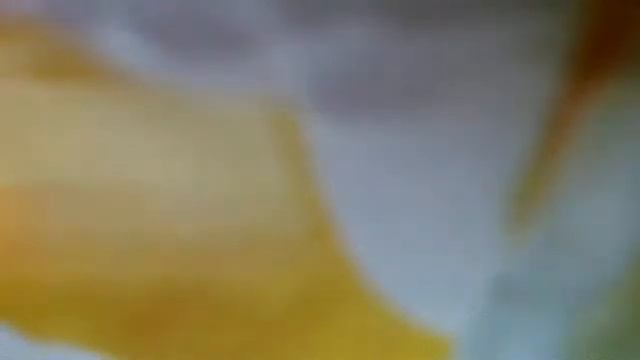 Дороги, дороги, дороги!(Где-то там далеко рассвет безбрежен, где-то там далеко тепло, уют(наброски) смотреть онлайн