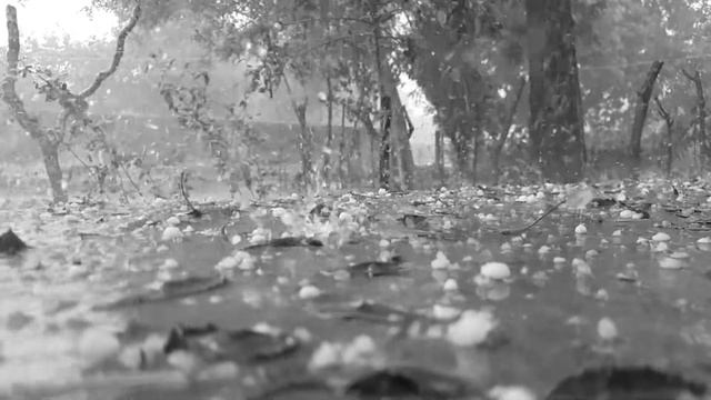 Слиптрек для сна, медитации, релаксации. "Rain To Sleep". Hegel, Kant & Nietzsche смотреть онлайн