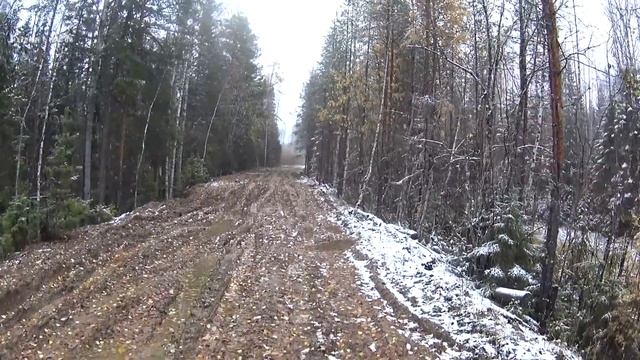 4 ДНЯ В ТАЕЖНОЙ ИЗБЕ / ГОТОВКА / БЫТ / ТОПИМ САМОВАР / Часть 2 смотреть онлайн