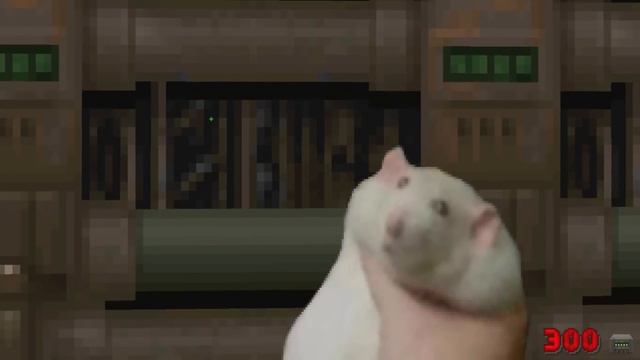 Doom 2 But All The Weapons Involve Rodents (RAT) - Mini Mod Madness смотреть онлайн