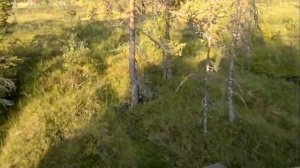 гтт в дороге