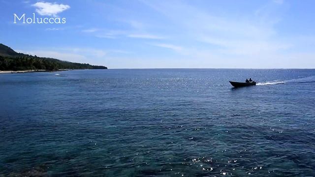 The charm of Latuhalat village and fresh fish [ Ambon, Maluku - Indonesia ] смотреть онлайн