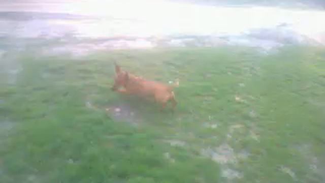 Догони меня смотреть онлайн