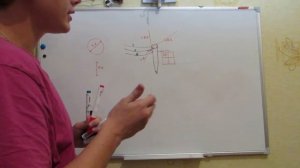 Верхняя полая вена.Правая и левая плечеголовные вены