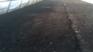 Подготовка почвы перед посадкой редиса