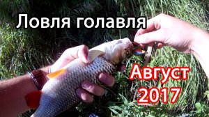 Рыбалка на голавля в августе. Уловистые Кренки.