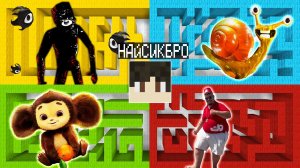 Выбери правильный лабиринт СИК УЛИТКА ЗЕФИР ЧЕБУРАШКА СКИБИДИ ДОП ЕС ЕС в майнкрафт!