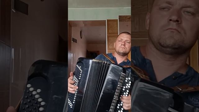 Московский цельнопланочный баян Былина смотреть онлайн