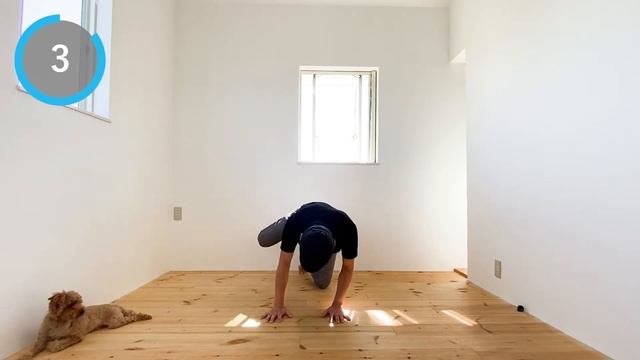 カポエイラ練習｜全身のウォームアップ10種目｜Capoeira Training, Whole body warm up смотреть онлайн