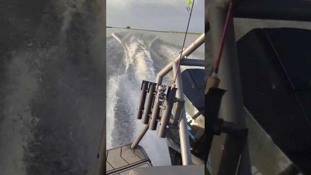 #астраханскаярыбалка #рыбалка #топ #настроение #рек #астрахань #рыба #поймалотпусти #щука смотреть онлайн