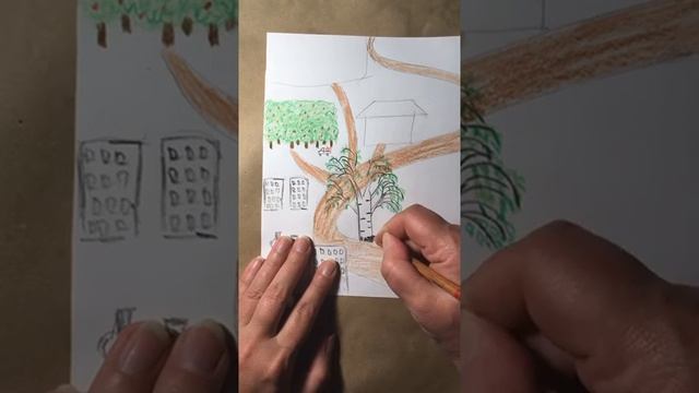 Какими бывают деревья?