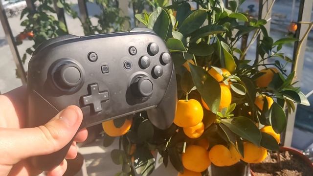 Pro controller для Nintendo Switch с AliExpress смотреть онлайн
