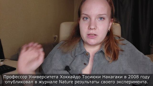 Я В ШОКЕ?НАШЛИ ПРИЧИНУ БОЛЕЗНИ?!? ЧТО ПОКАЗАЛИ АНАЛИЗЫ??РАСКРЫТА ПРИЧИНА ПОЕДАНИЯ САХАРА? БОЛТАЛКА? смотреть онлайн