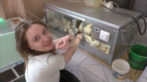 В ученицах жить не просто