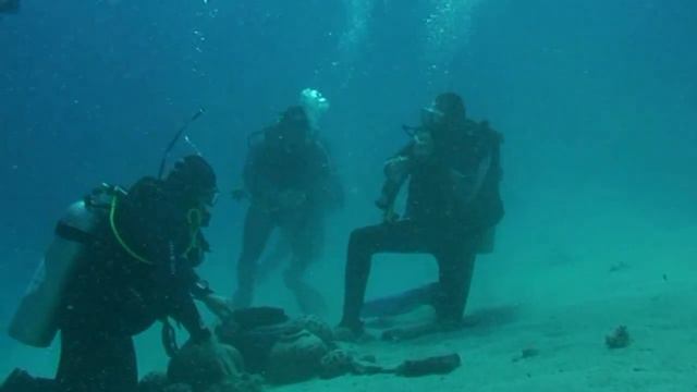 Строительство рифа смотреть онлайн