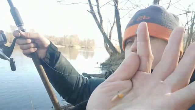 Рыбалка 27 Февраля. Насадка Пшеница для Рыбалки.Стрим с реки смотреть онлайн