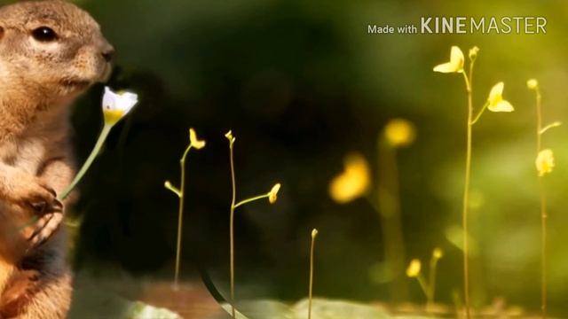 Презентация на тему природа смотреть онлайн