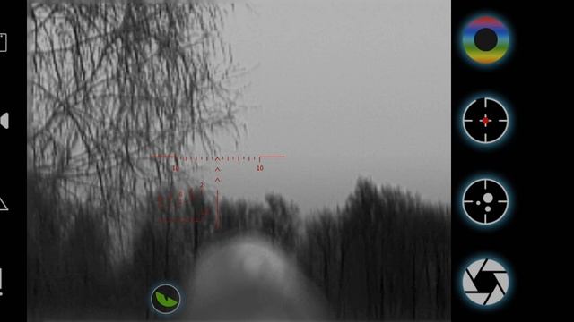 InfiRay T2 Pro осень 2022 около ста метров )))