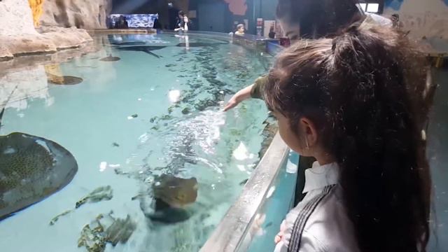 САБИНА В ПОДВОДНОМ ЦАРСТВЕ!!!! САБИНА ЛАКИ ЛАЙФ смотреть онлайн