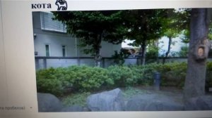 ? Тест, улучшающий память и внимательность - рекомендован пожилым людям: найдите дворового кота ?