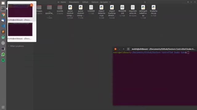 Gesture Controlled Snake Game Execution Instructions with OpenCV and Computer Vision |Penguin Coder смотреть онлайн