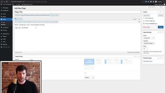 Ultra Basic WordPress Tutorials - Using the Text Editor смотреть онлайн