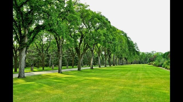 Заговор как вернуть мир в семью смотреть онлайн