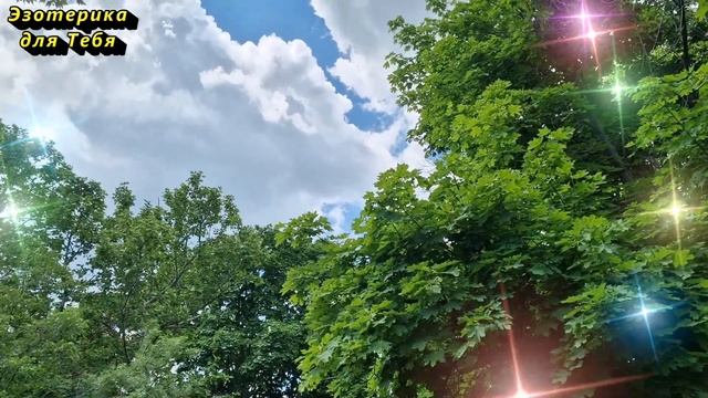 Скажите одну фразу, остановите безденежье и нищету навсегда смотреть онлайн