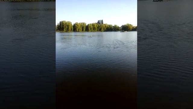 Кораблик Мрия со съёмным контейнером смотреть онлайн