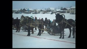 Гонки на лошадях 4 марта 2012 год.