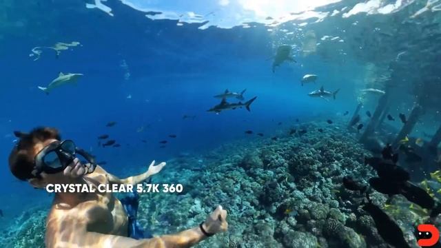 Insta360 X3 | Кейс для дайвинга смотреть онлайн