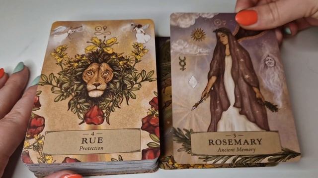 The Herbal Astrology Oracle ? NEW RELEASE by Adriana Ayales (Full Flip Through) смотреть онлайн