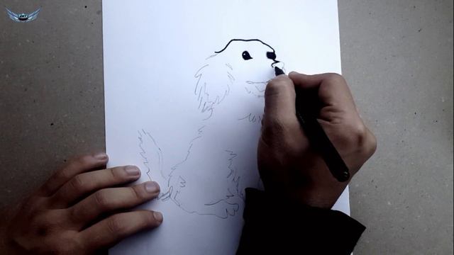 Adım Adım Kolay Ve Basit Köpek Resmi Çizimi #3 смотреть онлайн