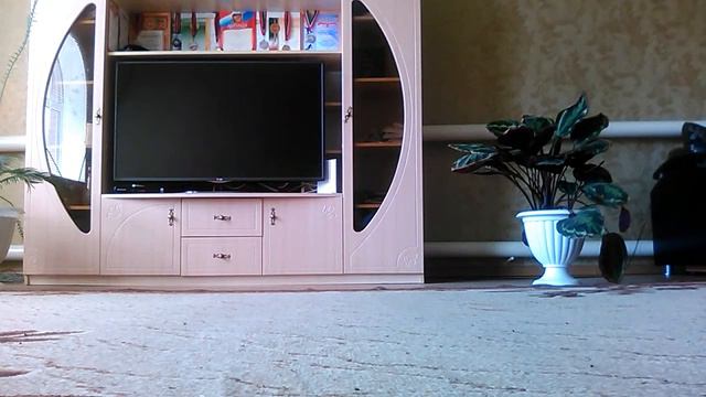 Какие игры есть у меня на Ps 3 смотреть онлайн