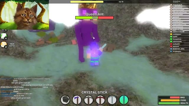 DEFEATING THE QUEEN ANT - ROBLOX BOOGA BOOGA смотреть онлайн