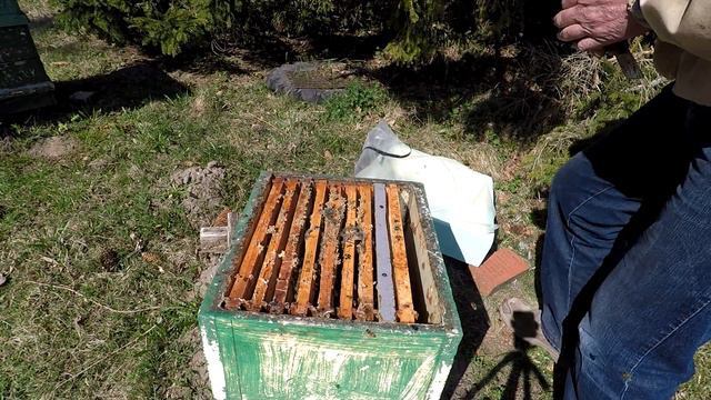 Работы на пасеке в день рождения В И Ленина. смотреть онлайн
