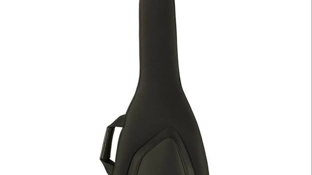 Guitar Bags Reviews : 5 Best Guitar Bags 2021