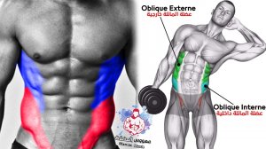 ? ТОП-6 упражнения на косые мышцы пресса - V Cut Abs Workout