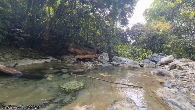 Make a basket to trap all stream fish, survival alone, survival instinct смотреть онлайн