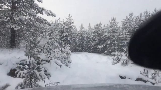 По следам снегохода смотреть онлайн