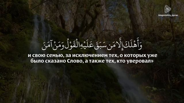 Саид Аль Хатыб | сура 11 «Худ» (Худ) , аяты 36-44 смотреть онлайн