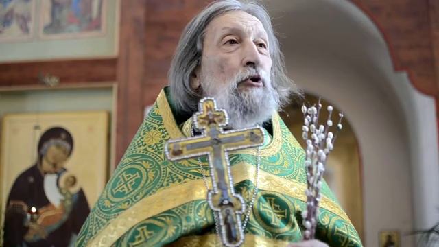 Отец Александр Салтыков на Вход Господень в Иерусалим 2014 смотреть онлайн