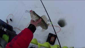 КАК ЛОВИТЬ СУДАКА с ЭХОЛОТОМ ПРАКТИК.КАК ПРАВИЛЬНО ДЕЛАТЬ ПРОВОДКУ ПРИМАНКИ  НА СУДАКА.СНАСТИ. КАМА