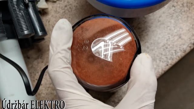 Jak pomlieť chilli / Jak umlít chilli papričky Bosch TSM6A013B смотреть онлайн