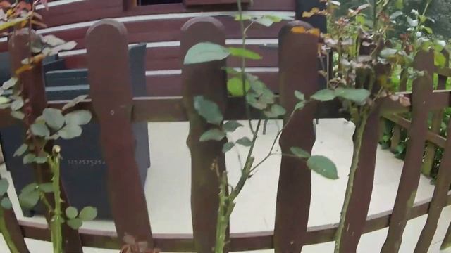 На даче! Осенние заботы.Первые грибы! Дача в Чехии. смотреть онлайн