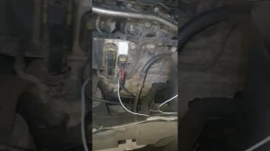 Автоэлектрик Атего не заводится