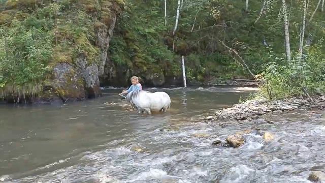 привели Беллу купаться. отважная коротышка🤣(3) смотреть онлайн