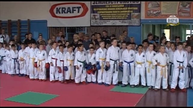 Турнир по таэквон-до в г. Покров смотреть онлайн