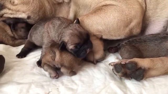 Первый день с мамой .